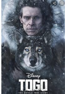 Togo (2019) | Download Hollywood Movie