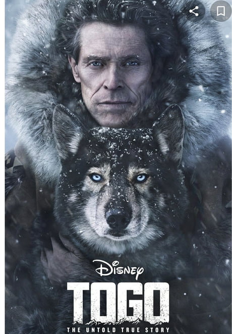 Togo (2019) | Download Hollywood Movie