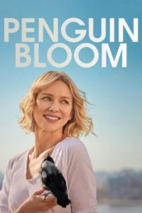 Penguin Bloom (2020) | Download Hollywood Movie