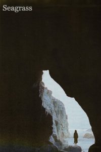 Seagrass (2024) | Download Hollywood Movie