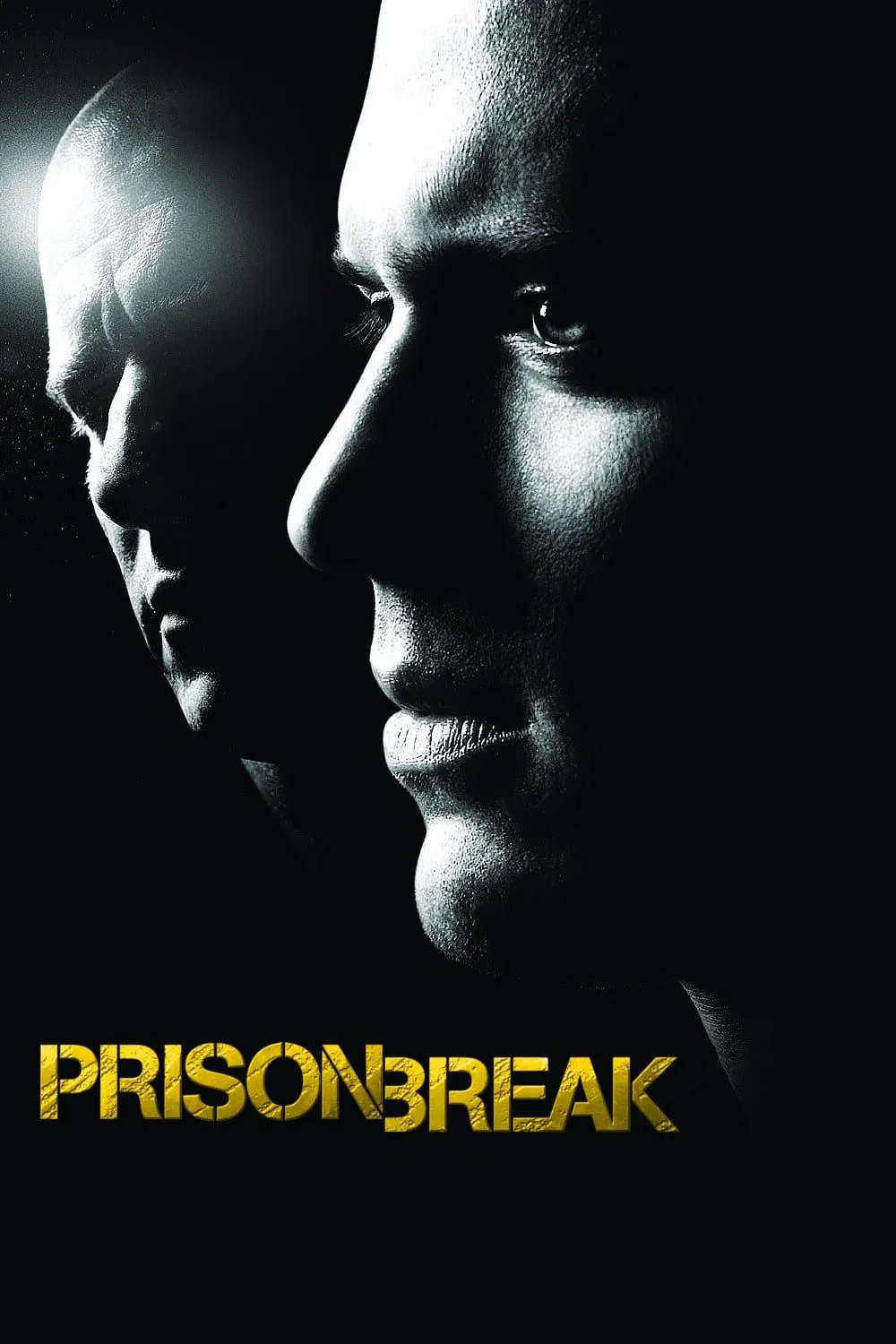Prison Break S04 (Complete) | TV Series